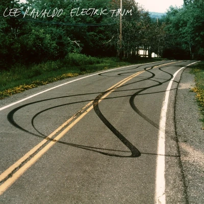 Afbeelding van Lee Ranaldo Electric Trim