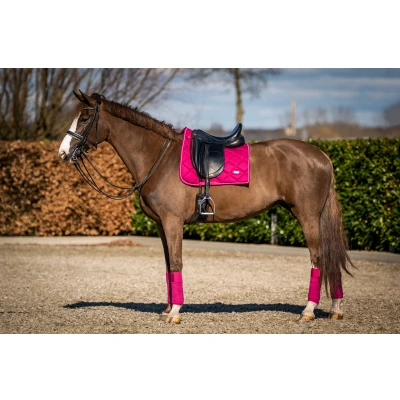 Image de HB Showtime Tapis de Selle Crown Dressage Rasberry Full