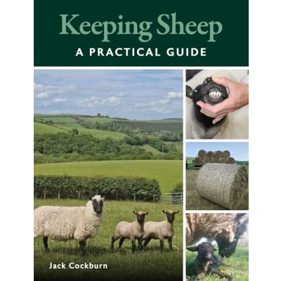 Afbeelding van Keeping Sheep