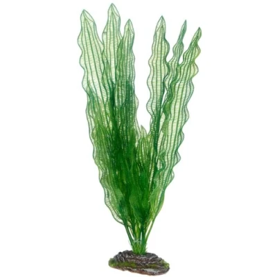 Afbeelding van Aquarium kunstplant 40 cm Hobby Aponogeton