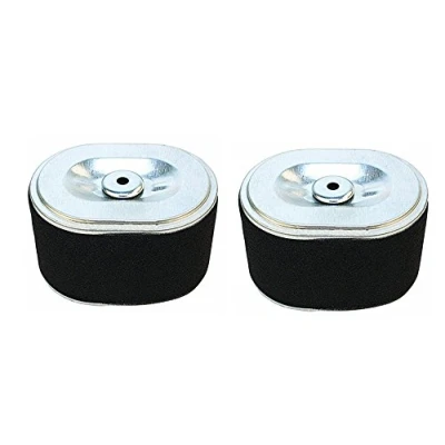 Afbeelding van OxoxO Set van 2 luchtfilters compatibel met 17210 ZE1 517 822 507 505 5,5 HP 6 motoren