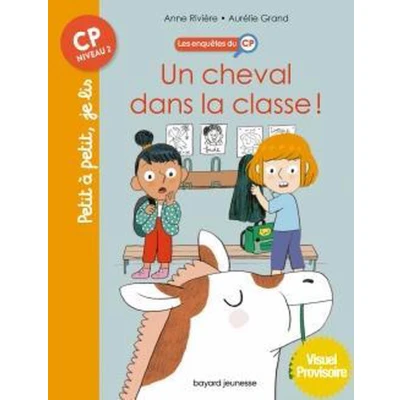 Afbeelding van LES ENQUETES DU CP TOME 07