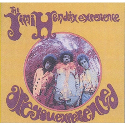 Afbeelding van Jimi Hendrix Are You Experienced