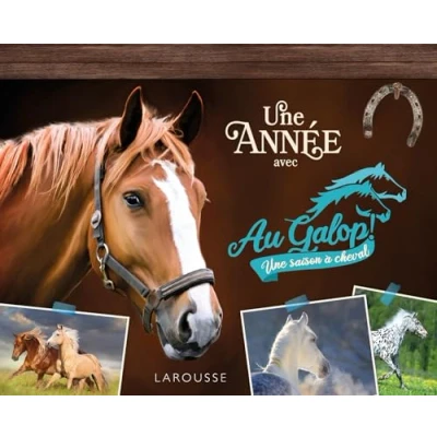 Afbeelding van UNE ANNEE AVEC AU GALOP SAISON A CHEVAL