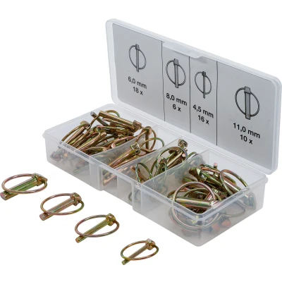 Afbeelding van BGS Assortiment ringborgpennen 50 dlg