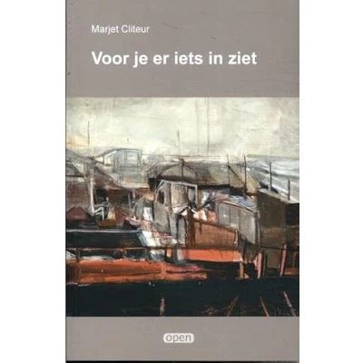 Afbeelding van Voor je er iets in ziet