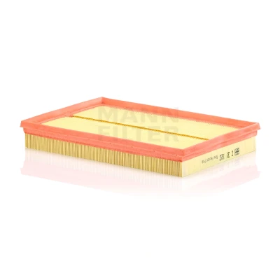 Afbeelding van MANN Filter C 31 123 Luchtfilter 42 209 309 insert