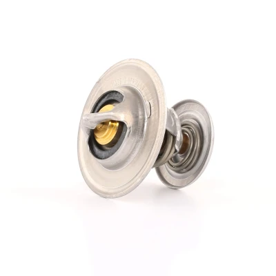 Afbeelding van Wahler Thermostaat 4264.87D
