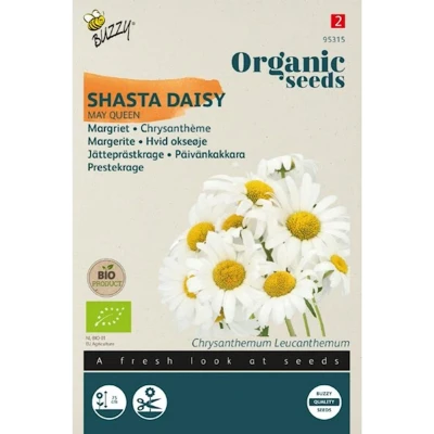 Afbeelding van Zaden chrysanthemum may queen 0.25 gram Tuinplus