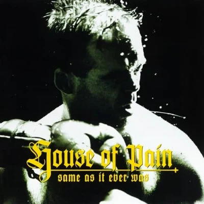Afbeelding van House of Pain Same As It Ever Was (LP)
