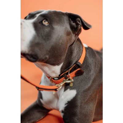 Afbeelding van Kentucky Halsband Plaited Nylon Oranje M/L Agradi.be