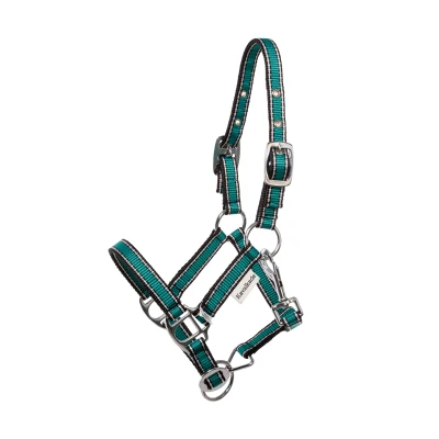 Image de Kavalkade Shetty Halter Shorty