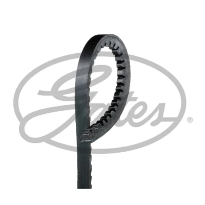 Image de Courroie d&#039;accessoires gates 6464mc