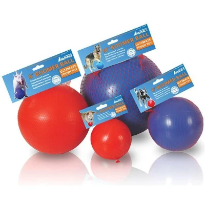 Afbeelding van Hondenspeelgoed Company of Animals Boomer Blauw (200mm)