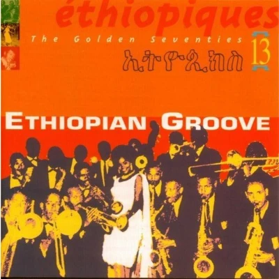 Afbeelding van Various Artists Ethiopiques 13 Ethiopian Groove (CD)