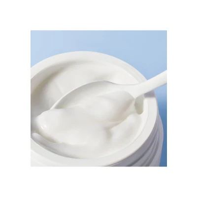 Afbeelding van NUXE Moisturising RICH Cream L 48H Dagcrème, Maat: 50 ml,