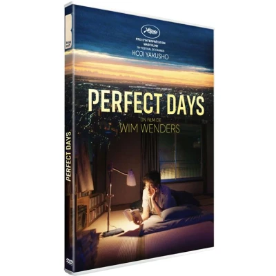Image de Blaq Out Perfect Days Dvd
