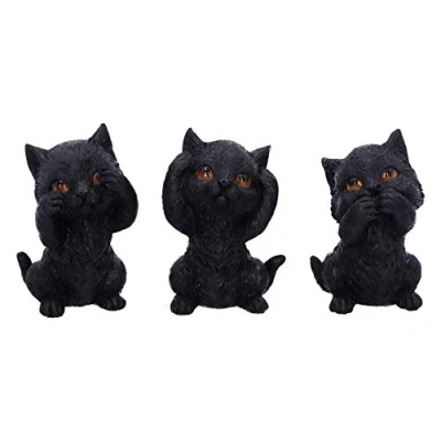 Afbeelding van Nemesis Now Beeldjes/figuren Three Wise Kitties Kat Multicolours