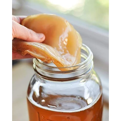 Afbeelding van Dpnamron Biologische kombucha scoby levende cultuur