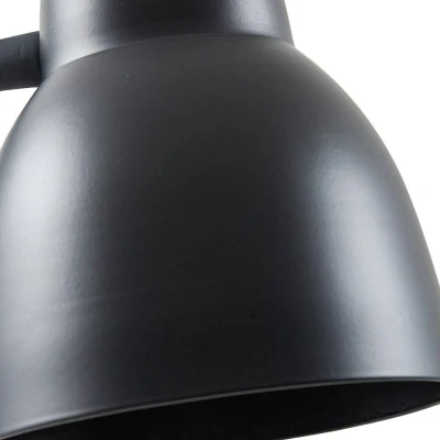 Afbeelding van Vloerlamp Tebbi, zwart, metaal, hoogte 150 cm