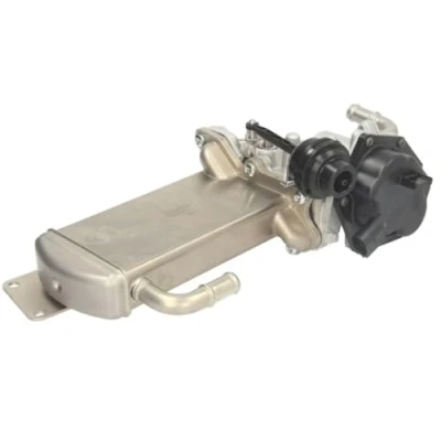 Afbeelding van DELPHI EG10576 12B1 EGR klep Met AGR koeler VOLKSWAGEN: Transporter 6 Bus