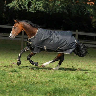 Image de Bucas Freedom Turnout Light Black / Taupe