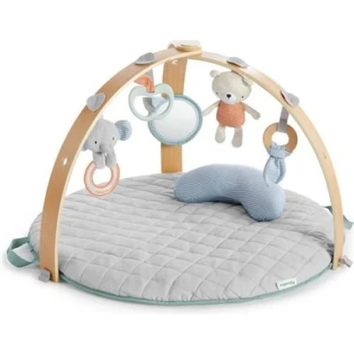 Image de Ingenuity Mini portique d&#039;activité bébé réversible Cozy Spot