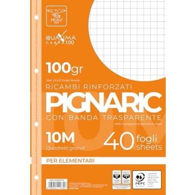Afbeelding van Pigna 02223710, vervanging met versterkte band, 10, 1 cm geruit voor 1. Element, 100 g/m² papier, 40 vellen