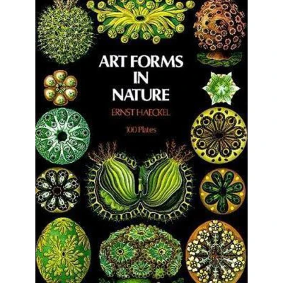 Afbeelding van Art Forms In Nature