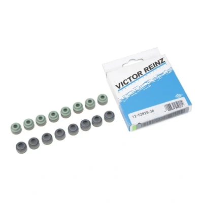 Afbeelding van Reinz Klepsteeldichting 12 52829 04