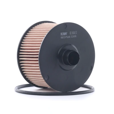 Afbeelding van FILTRON OE 666/3 Oliefilter Filter insert RENAULT: Captur II, Clio 4, Kangoo II Express, DACIA: Duster Off Road, SANDERO 2, LOGAN MCV 2