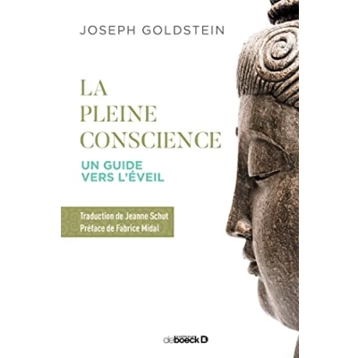 Afbeelding van La pleine conscience un guide vers l&#039;eveil