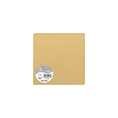 Image de Paquet de 25 cartes simples Pollen 160x160mm Caramel 210g