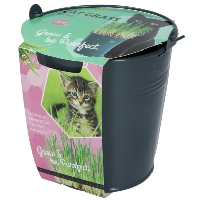 Afbeelding van Buzzy Kattengras Emmertje (9) Kweeksets per stuk