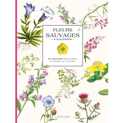 Image de Fleurs sauvages à colorier