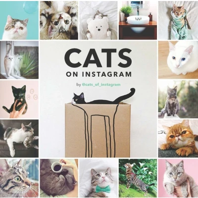 Afbeelding van Cats Of Instagram
