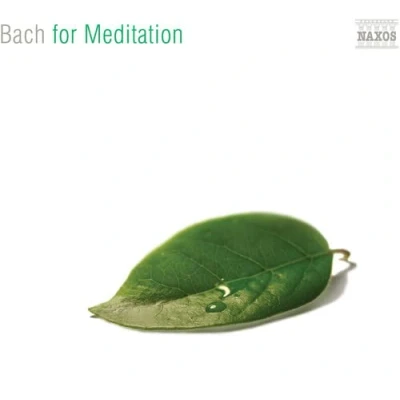 Afbeelding van Various Artists Bach For Meditation (CD)