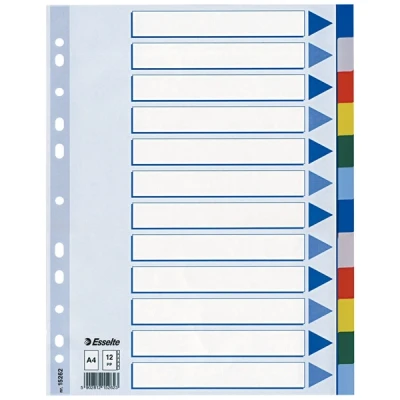 Image de ESSELTE VERDEELGIDS PVC STAND.A4 12TABS