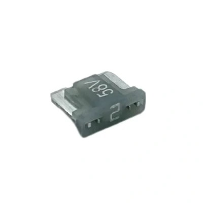 Afbeelding van Hansor ASM M02 Platte minizekering 2 A Grijs 1 stuk(s)