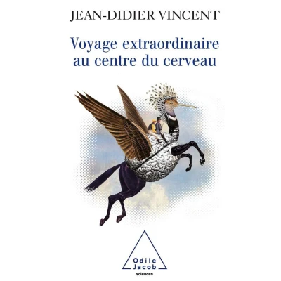 Afbeelding van Voyage Extraordinaire Au Centre Du Cerveau