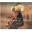 Afbeelding van Rossini: L&#039;italiana in Algeri / Cobos, Larmore, et al