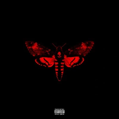 Afbeelding van Lil Wayne I Am Not A Human Being Ii (Del.Ed.)
