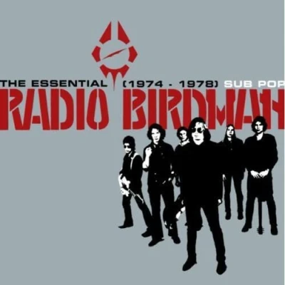 Afbeelding van Radio Birdman The Essential 1974 1978 (CD)