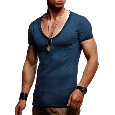 Afbeelding van Leif Nelson Het T shirt voor heren met V hals LN 6280