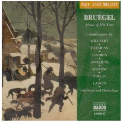 Afbeelding van Various Artists Bruegel, Music Of His Time (CD)