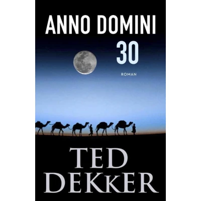 Afbeelding van Anno Domini 30