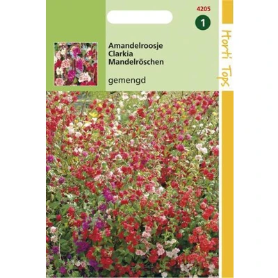 Afbeelding van Clarkia Elegans Dubbelbloemig Gemengd Hortitops