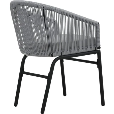 Afbeelding van Tuinstoelen 2 st PE rattan antracietkleurig
