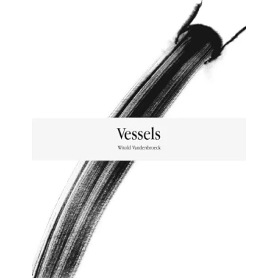 Afbeelding van Witold Vandenbroeck. Vessels
