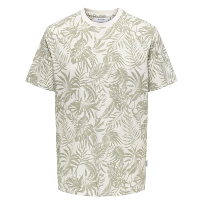 Afbeelding van ONLY &amp; SONS T shirt Perry 22025283